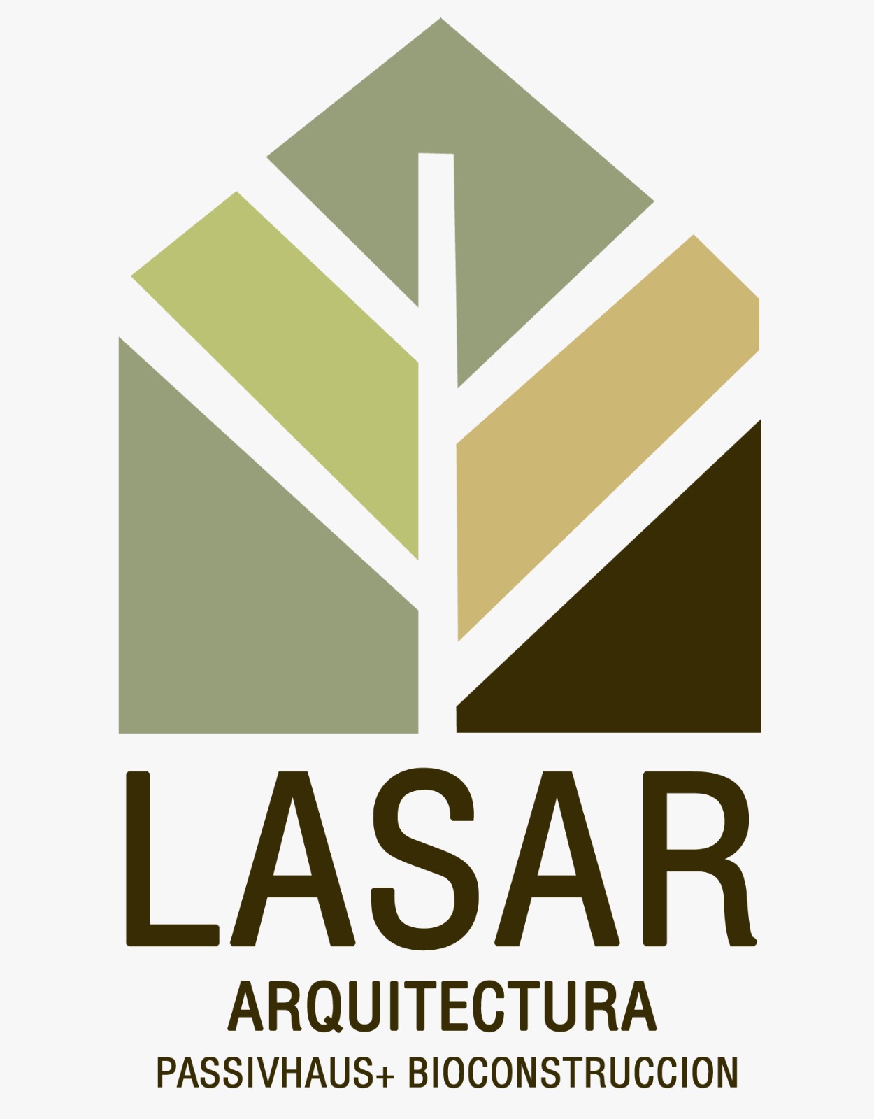 LASAR MANAGEMENT logo